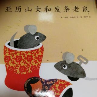 压力山大和发条老鼠🐭