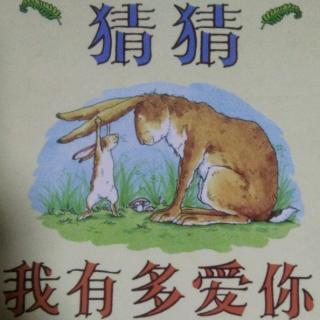 猜猜我有多爱你