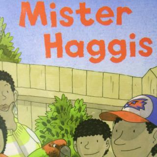 3-39  Mister higgis