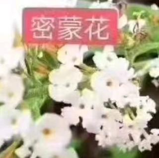 《拿破仑传》第10天