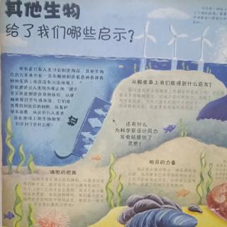 琪琪乐乐故事屋648-生物给了人类哪些启示