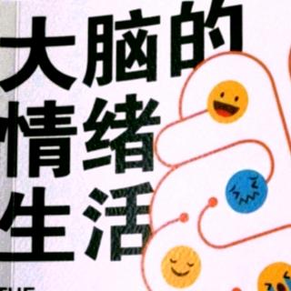 《大脑的情绪生活》第九章第七部分（阿字正念）