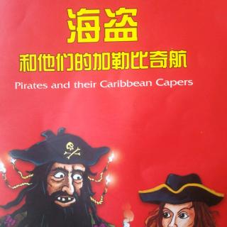 海盗和他们的加勒比奇航