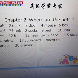 1B chapter 2 words dictation