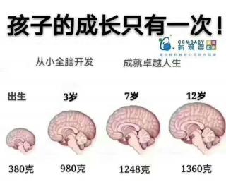 不爱吃药的小老鼠