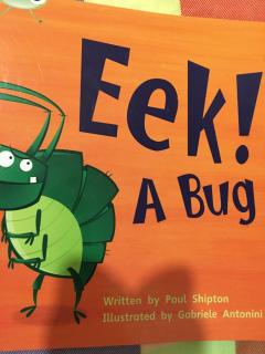 Eek A bug