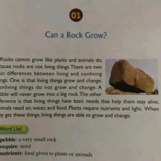 Can a Rock Grow