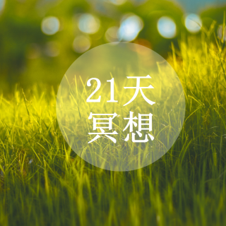 21天冥想-感受2