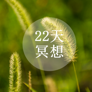 22天冥想-清晨冥想2