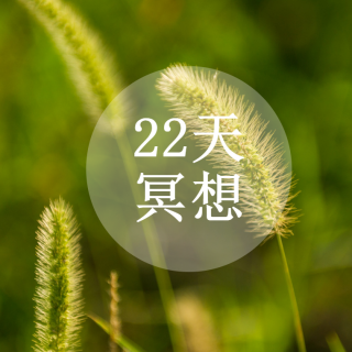 22天冥想-理解冥想21