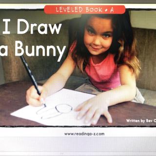 I Draw a Bunny