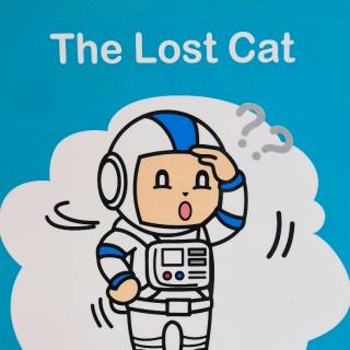 the lost cat