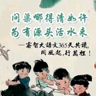 2019潍坊市中考语文基础选择题