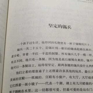 《坚定的锡兵》