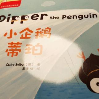 dipper the penguin