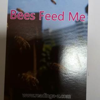 bees feed me