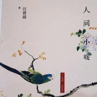 读一本书《人间小暖》汪曾祺《豆芽》《长进树皮里的铁蒺藜》