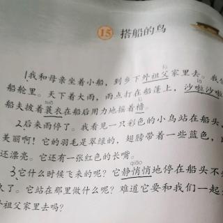 预习《搭船的鸟》