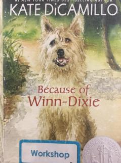 Becuase of Winn-Dixie Chapter One