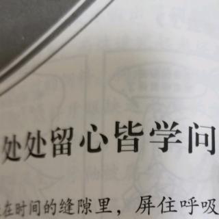 处处留心皆学问