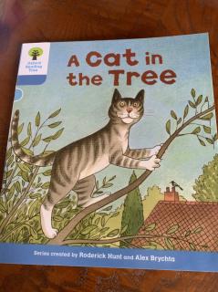 a cat the tree
