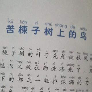 苦楝子树上的鸟2