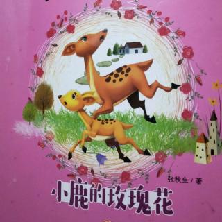 《乘公共汽车的小鸟》《没有脑袋的鸟》