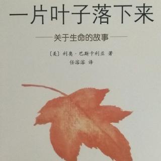 一片叶子落下来