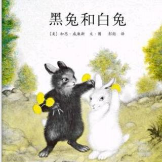 幼专金海湾幼儿园韩老师—《黑兔和白兔》