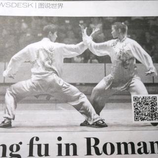 Kung fu in romania