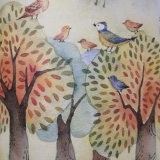 小树叶童话—山雀爱唱歌