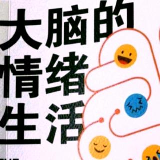 《大脑的情绪生活》第九章第十部分（阿字正念）