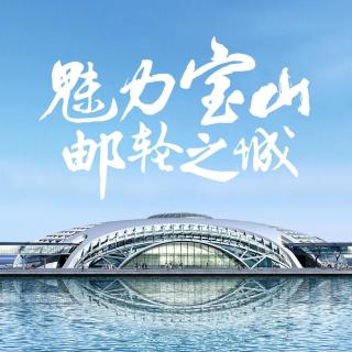 第五问：我可以通过哪些渠道购买船票呢？