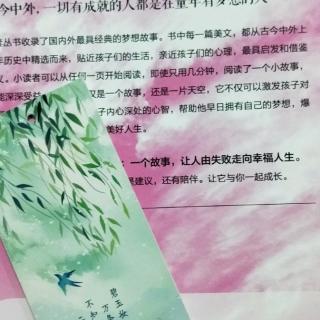 在平静中追求卓越