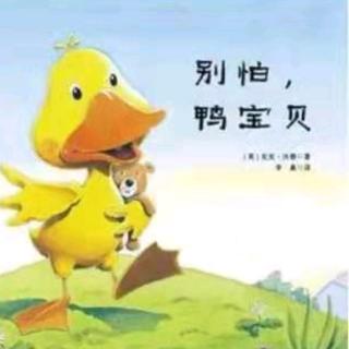 朱曲双语幼儿园的晚安故事304《别怕，鸭宝贝》