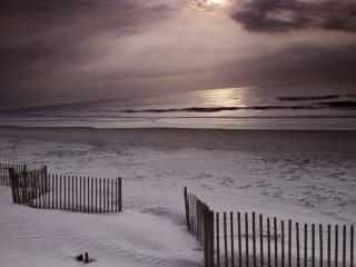 波罗的海的冬天：面对寒夜，孑然一身