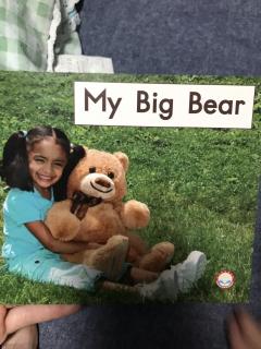 my big bear