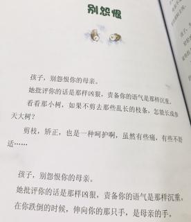 《别怨恨》