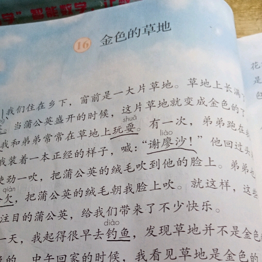 第16课金色的草地