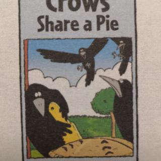Crows Share a Pie
