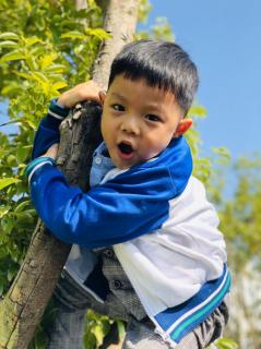 天立幼儿园教育之声——《与孩子，共成长》第一期