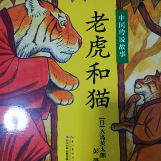 老虎🐯和猫