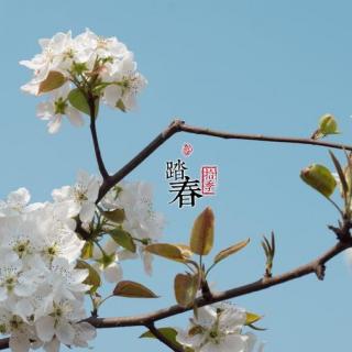 读诗：张文武《踏春》《晚秋》