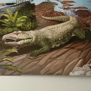 恐龙百科大全  第一章  重回三叠纪  加斯马吐龙