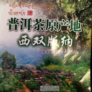 《普洱茶原产地—西双版纳》_【帕沙古茶山】