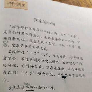 预习《习作例文》