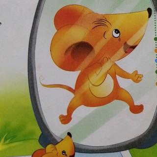 灰老鼠照镜子背景音乐图片