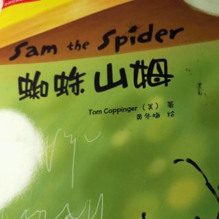 sam the spider