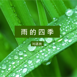 《雨的四季》刘湛秋