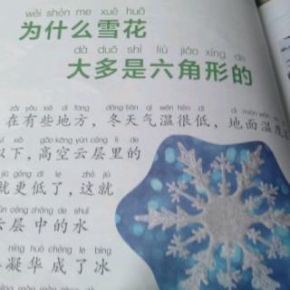 宁子淇打卡四十天《为什么雪花大多是六角形的》